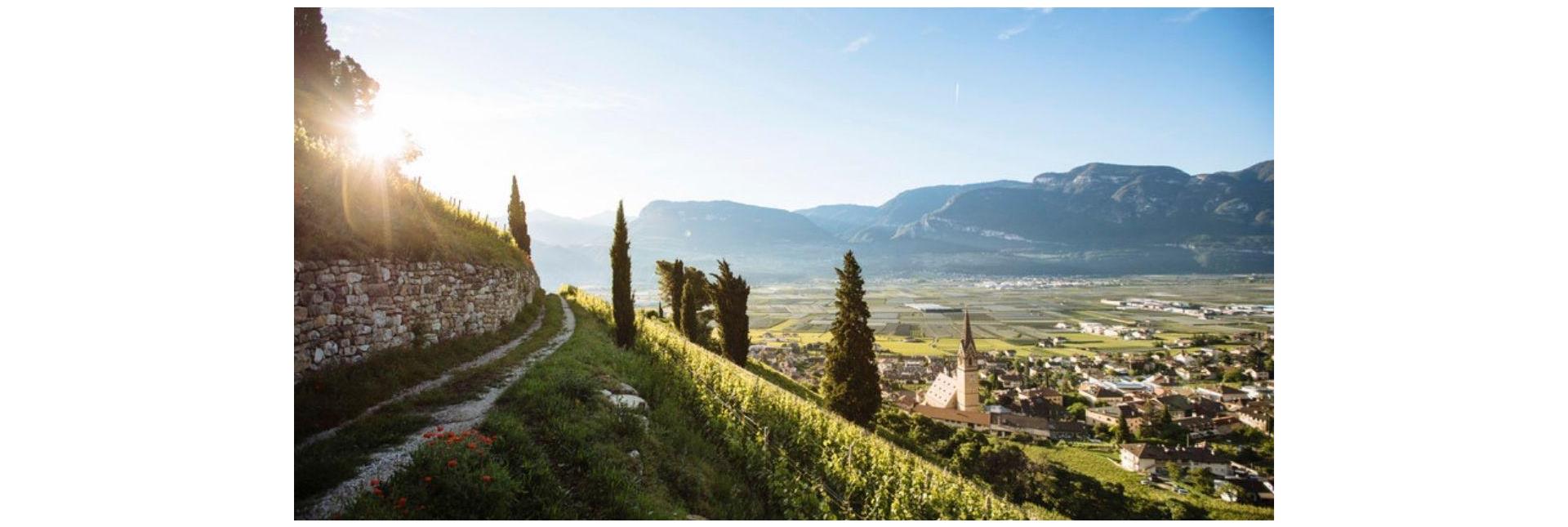 Blick auf ein Dorf in Südtirol im Sonnenschein von einem Wanderweg aus.